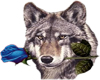 Wolf Rose Blue
