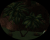 PALM TREE