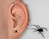 Rk| Earrings Spider Ast