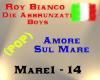 Roy Bianco - Amore Sul