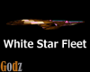 WSF Copper Star Ship