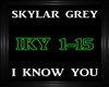 Skylar Grey~I Know You
