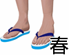 859 Flipflops 藍白拖M