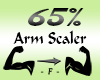 Arm Scaler 65%