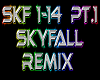 SKYFALL remix