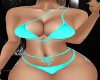 Summer Teal Bikini