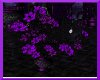 ~Purple Animated Roses~