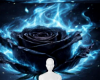 Midnight water rose bg