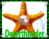 DT Starfish Bracelet