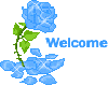 Blue Welcome