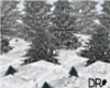 DR- Snowing forest anim