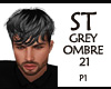 ST 1 GREY OMBRE 21