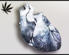 Frozen heart in chest