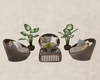 3 set chairs w/plants