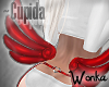 W° Cupida .Wings