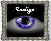 (D)Indigo-F