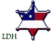 LDH Flag Badge