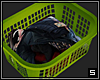 Laundry Basket  -4-