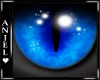 A♥ Zenith Unisex Eyes