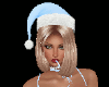 Holly Bundle (v3)