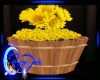 *D*Barrell of Sunflowers