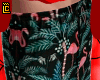havai short + tat
