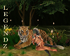Fox/Cuddle w tiger