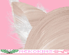 Big Ear Beige