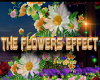 the flowers effect