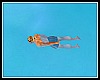 Animated Swimming Pose