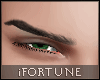 👁️ Nova Bundle