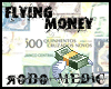 Flying Money