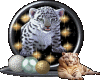 Animated Tiger 13