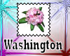 Washington State Flower