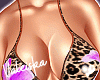 VK~Tropical Set lV
