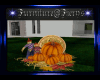 DF*Pumpkin Display