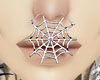 Spider Web Septum