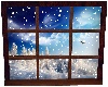 F. Winter Window