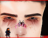 Urs brows