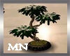 MN-Tree 2