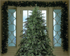 ~QSC~ Christmas Tree BG