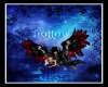 Desi & Hollow
