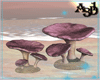 A3D* Mushrooms Sea