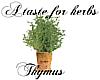 Herbs: Thymus