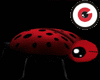Ladybug in Red