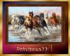 Ali-Horse painting7