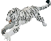 White tiger jump sticker