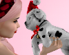 puppy love â¡