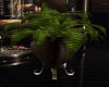 [JW] Plant