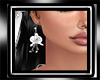 Venus bridal earrings
